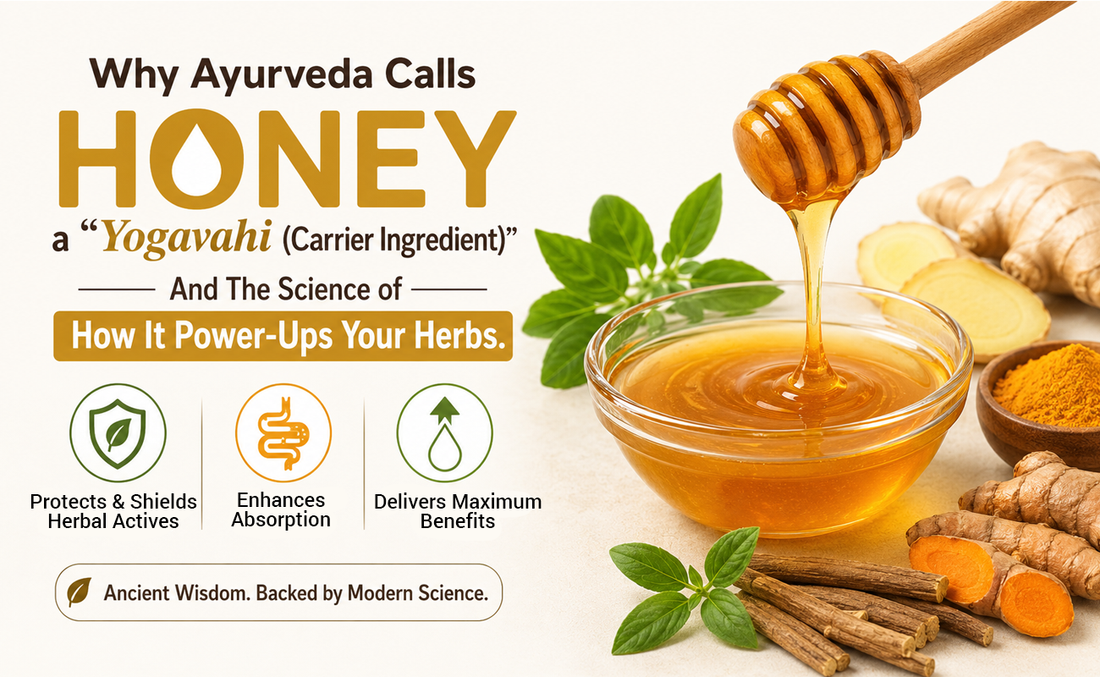 Why Ayurveda Calls Honey a "Yogavahi (Carrier Ingredient)" -And The Science of How It Power-Ups Your Herbs.