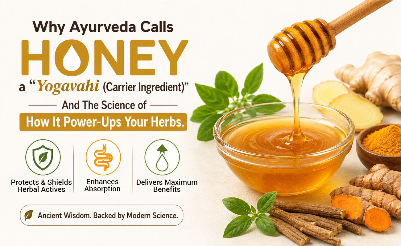 Why Ayurveda Calls Honey a "Yogavahi (Carrier Ingredient)" -And The Science of How It Power-Ups Your Herbs.