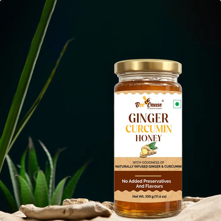 A single jar of Bee Cause Ginger Curcumin Honey displayed on textured stones and dried ginger roots, set against a dark background with green succulent plants.