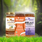 Three jars of Bee Cause brand honey displayed together in a blurred green forest setting. From left to right: Ginger Curcumin Honey, Slim Honey, and Relax Honey.