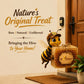 An adorable animated bee character wearing a brown cap, flying at a house doorstep and holding a large, golden block of fresh honeycomb tied with a twine bow and a BeeCause logo tag. The text reads "Nature's Original Treat, Raw, Natural, Unfiltered. Bringing the Hive to Your Home!