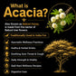 Informational graphic about Acacia, including a tree and flowers, on a black background.